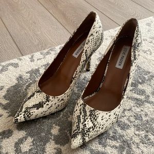 Snake print Steve Madden pumps